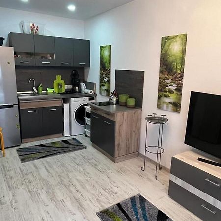 Sfântu-Gheorghe Apartament Acasa Sf.Gheorghe מראה חיצוני תמונה