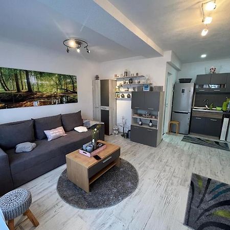 Sfântu-Gheorghe Apartament Acasa Sf.Gheorghe מראה חיצוני תמונה